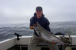 Find Lance's Sportfishing Adventures, Tofino Fishing Charters, Salmon, Halibut, Year Round Fishing, Clayoquot Sound, Tofino Accommodation, Tofino Fishing Charters, Salmon, Halibut, Year Round Fishing, Clayoquot Sound, Tofino Acccommodation