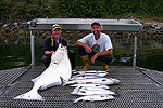 Lance's Sportfishing Adventures, Tofino Fishing Charters, Salmon, Halibut, Year Round Fishing, Clayoquot Sound, Tofino Accommodation, Tofino Fishing Charters, Salmon, Halibut, Year Round Fishing, Clayoquot Sound, Tofino Accommodation