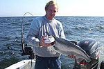 Contact Lance's Sportfishing Adventures, Tofino Fishing Charters, Salmon, Halibut, Year Round Fishing, Clayoquot Sound, Tofino Accommodation, Tofino Fishing Charters, Salmon, Halibut, Year Round Fishing, Clayoquot Sound, Tofino Acccommodation