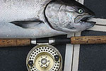 Find Lance's Sportfishing Adventures, Tofino Fishing Charters, Salmon, Halibut, Year Round Fishing, Clayoquot Sound, Tofino Accommodation, Tofino Fishing Charters, Salmon, Halibut, Year Round Fishing, Clayoquot Sound, Tofino Acccommodation