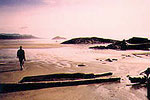Find Lance's Sportfishing Adventures, Tofino Fishing Charters, Salmon, Halibut, Year Round Fishing, Clayoquot Sound, Tofino Accommodation, Tofino Fishing Charters, Salmon, Halibut, Year Round Fishing, Clayoquot Sound, Tofino Acccommodation