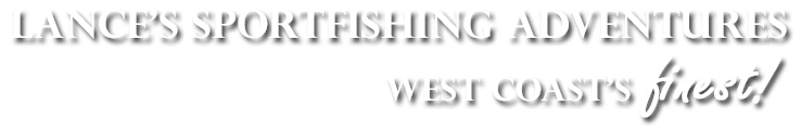 Fish Tofino
